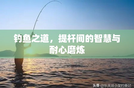 钓鱼之道,提杆间的智慧与耐心磨炼