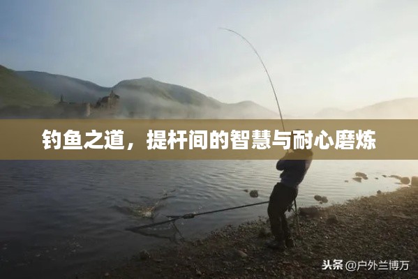 钓鱼之道,提杆间的智慧与耐心磨炼