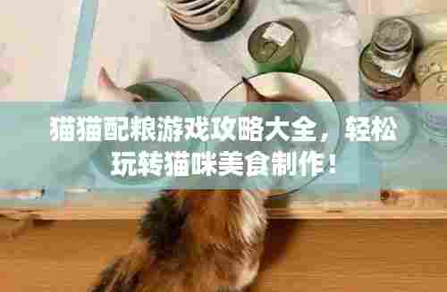 猫猫配粮游戏攻略大全，轻松玩转猫咪美食制作！