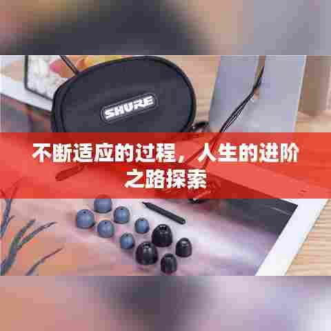 不断适应的过程,人生的进阶之路探索