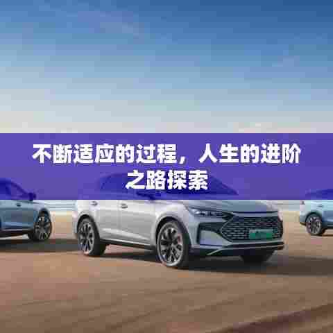 不断适应的过程,人生的进阶之路探索