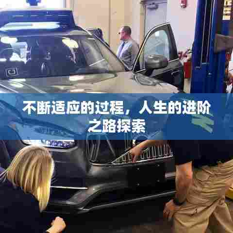 不断适应的过程,人生的进阶之路探索