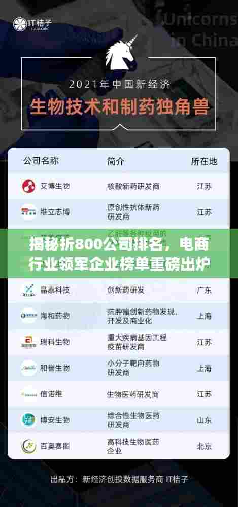 揭秘折800公司排名，电商行业领军企业榜单重磅出炉！