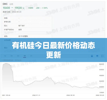 有机硅今日最新价格动态更新