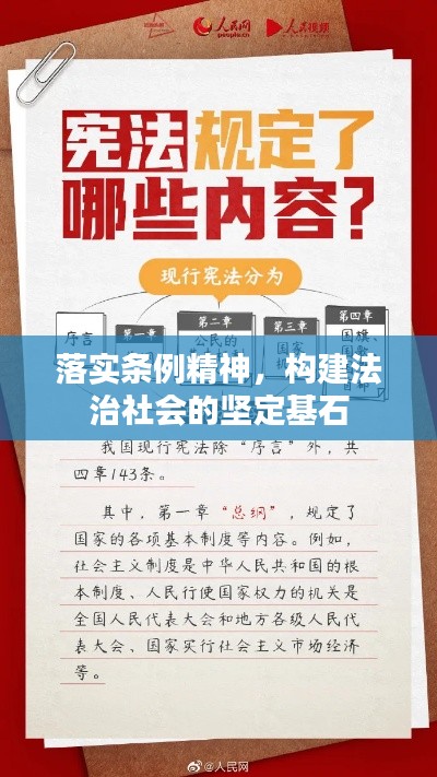 落实条例精神,构建法治社会的坚定基石