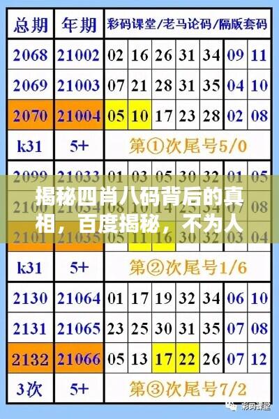 揭秘四肖八码背后的真相，百度揭秘，不为人知的秘密故事