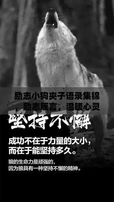 励志小狗夹子语录集锦,励志箴言,温暖心灵的话语