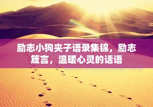 励志小狗夹子语录集锦,励志箴言,温暖心灵的话语