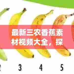 最新三农香蕉素材视频大全,探索与实践之旅