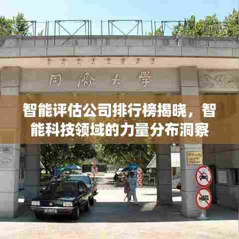 智能评估公司排行榜揭晓,智能科技领域的力量分布洞察