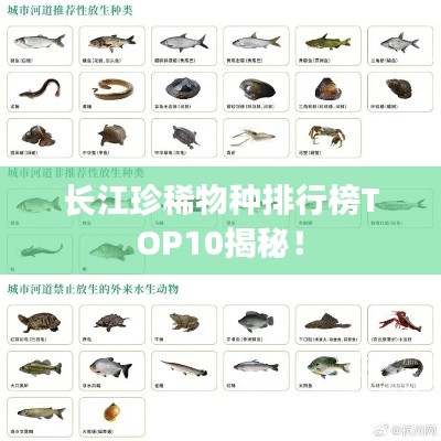 长江珍稀物种排行榜TOP10揭秘！