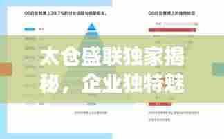 太仓盛联独家揭秘,企业独特魅力与发展路径的探究