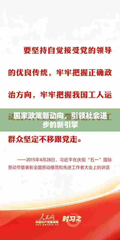 国家政策新动向，引领社会进步的新引擎
