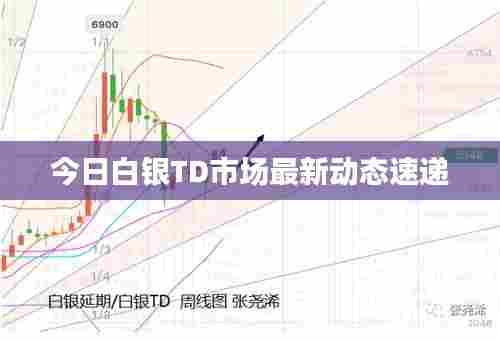 今日白银TD市场最新动态速递
