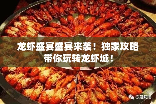 龙虾盛宴盛宴来袭!独家攻略带你玩转龙虾城!