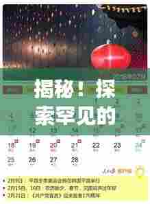 揭秘！探索罕见的1982年日历全貌