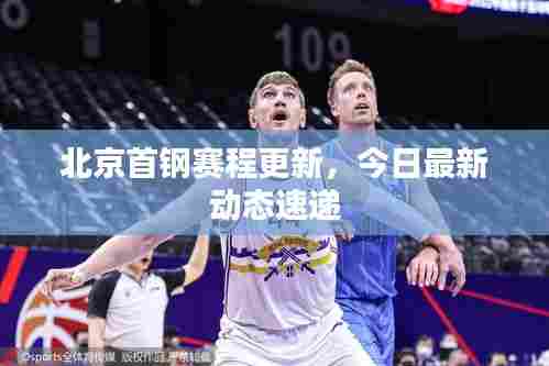 北京首钢赛程更新,今日最新动态速递