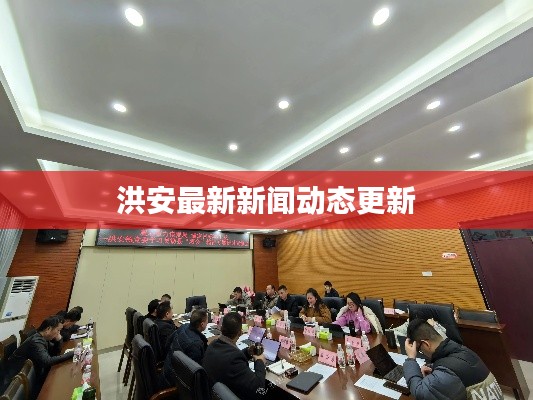 洪安最新新闻动态更新