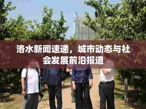 洛水新闻速递,城市动态与社会发展前沿报道
