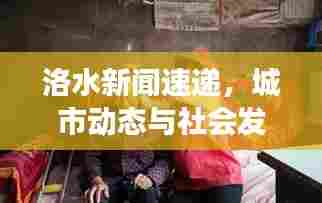 洛水新闻速递,城市动态与社会发展前沿报道