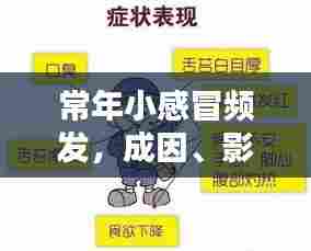 常年小感冒频发，成因、影响及应对良方