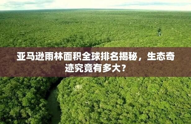 亚马逊雨林面积全球排名揭秘,生态奇迹究竟有多大?