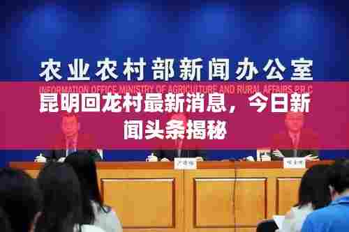 昆明回龙村最新消息，今日新闻头条揭秘
