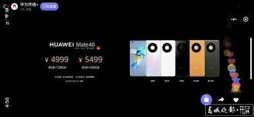 mate40选哪个版本,实证研究解析说明&创意版_v10.205