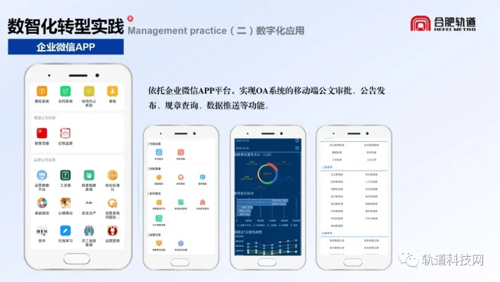 掌握这10招，你也是交通官方app下载，全面实施数据策略_7DM1_v4.739大神！