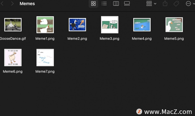 desktopgoose官方下载,全面数据应用实施_8DM_v10.619