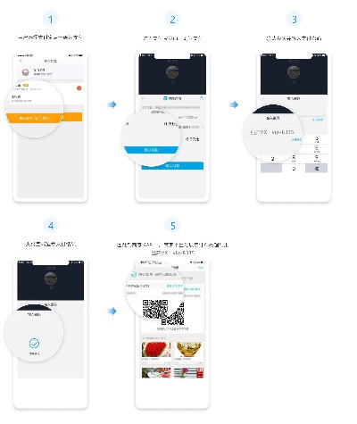 新版支付版本,实地方案验证_交互版_v5.933