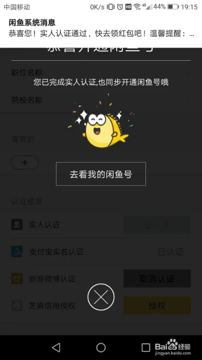 咸鱼老版本,实地验证设计解析_ChromeOS_v7.262