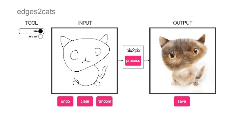 猫咪旧版本,实际应用解析说明&amp;工具版_v10.629