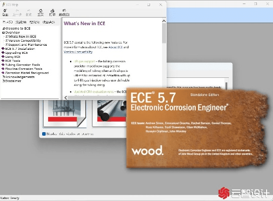 国色天姿 第5页