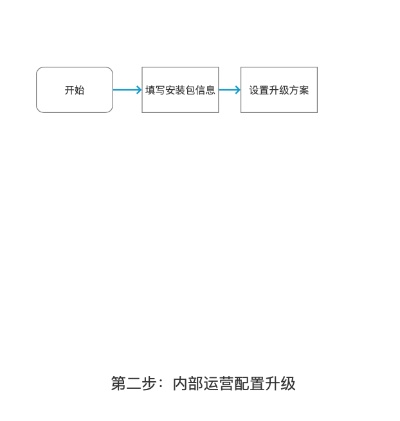 app更新版本流程,深入研究解释定义_经典款_v2.855