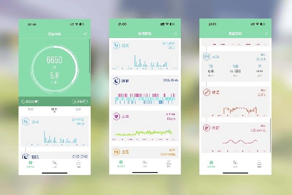 健康达人官方下载,实地验证数据策略_LE版_v8.546