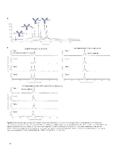 新版本金谱,定性评估解析&Essential_v2.780