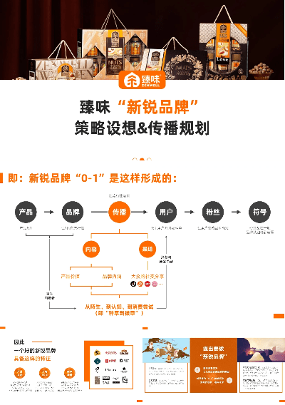 三款最佳坚果版本，创新推广策略软件的横向评测