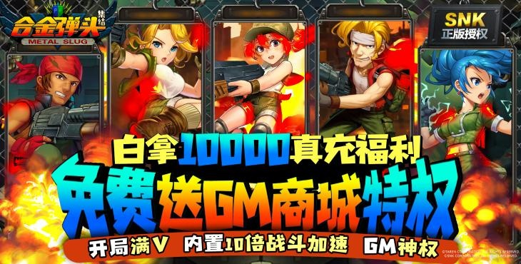 迷你币激活码2与合金弹头手机版单机版,适用性执行方案&策略版_v4.412