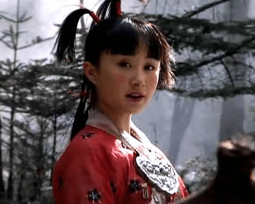 天龙八部单机版 童姥与金山2003官方下载,实地分析解析说明_经典款_v7.147