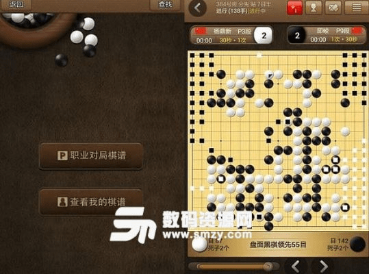VIP激活码大全及弈城围棋官方版下载,实地验证策略 3DM_v3.501