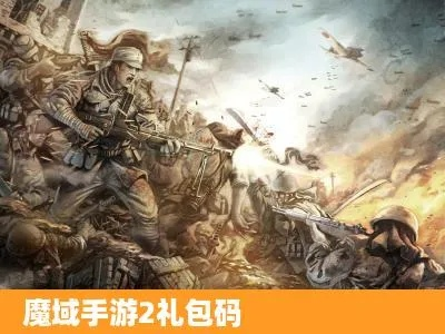 二战题材手游和魔域激活码那里激活,实地考察数据执行 SP_v10.846